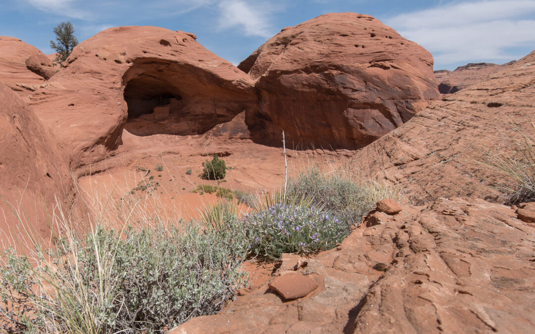 Square House Ruin, Monument Valley, AZ