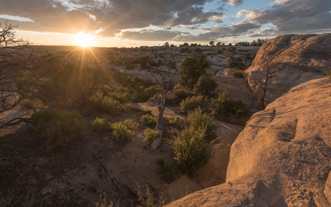 Glade Sunset, Farmington, NM