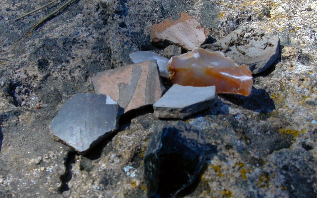 Pottery Shards, Jemez Mountains, NM