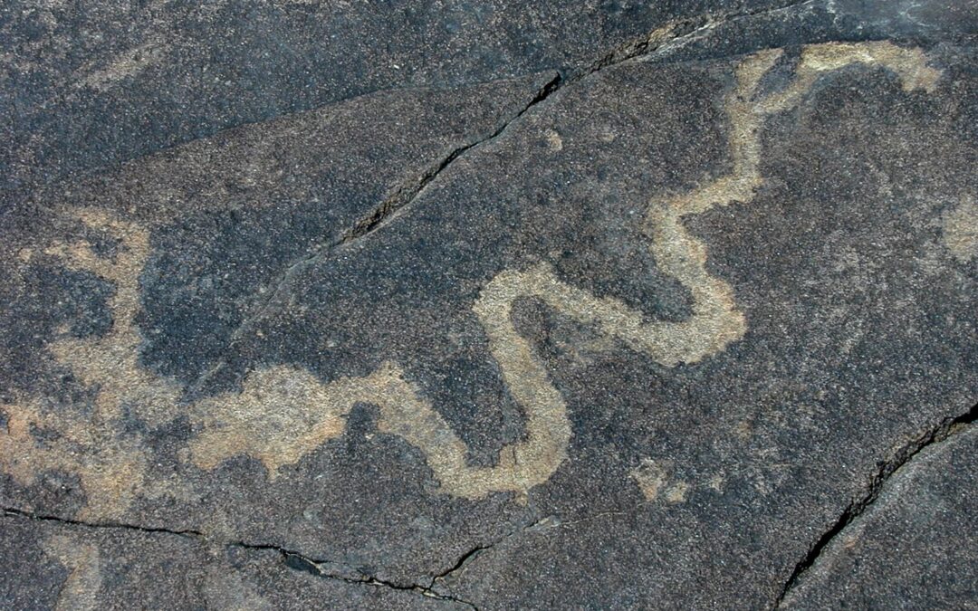 Snake, Ojito Wilderness, NM