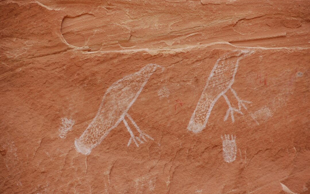 Ravens, Collins Canyon, UT