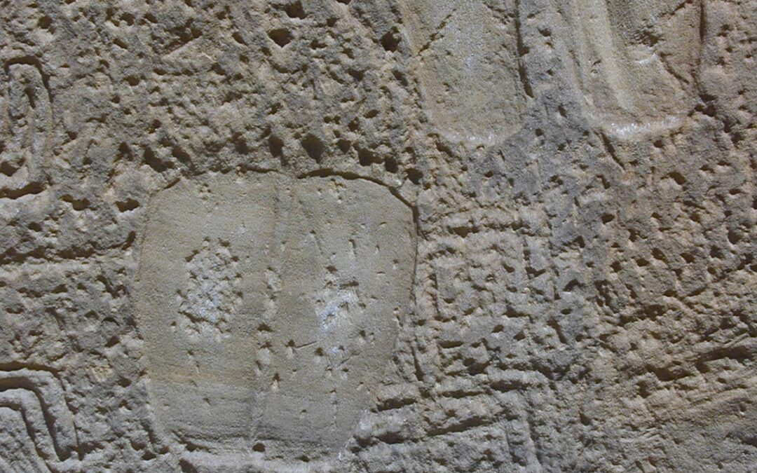 Footprints, Tapia Canyon, NM