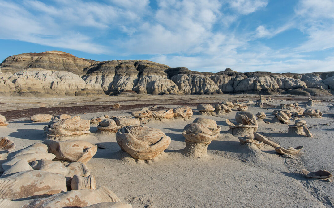 The Cracked Eggs, Bisti Wilderness, NM