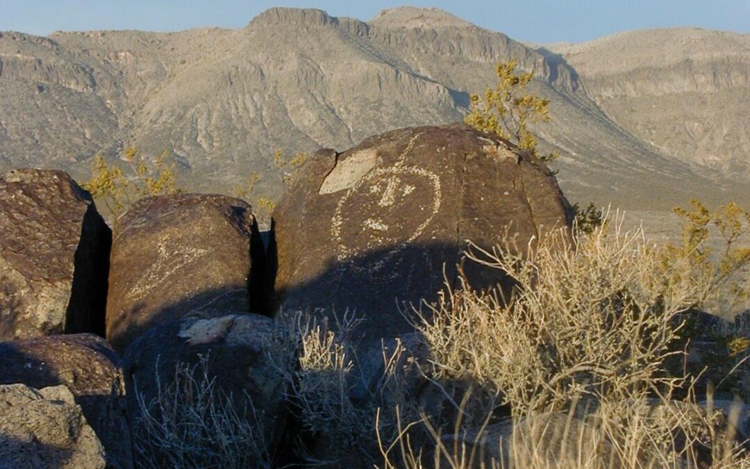 Keeping Watch, Three Rivers, NM